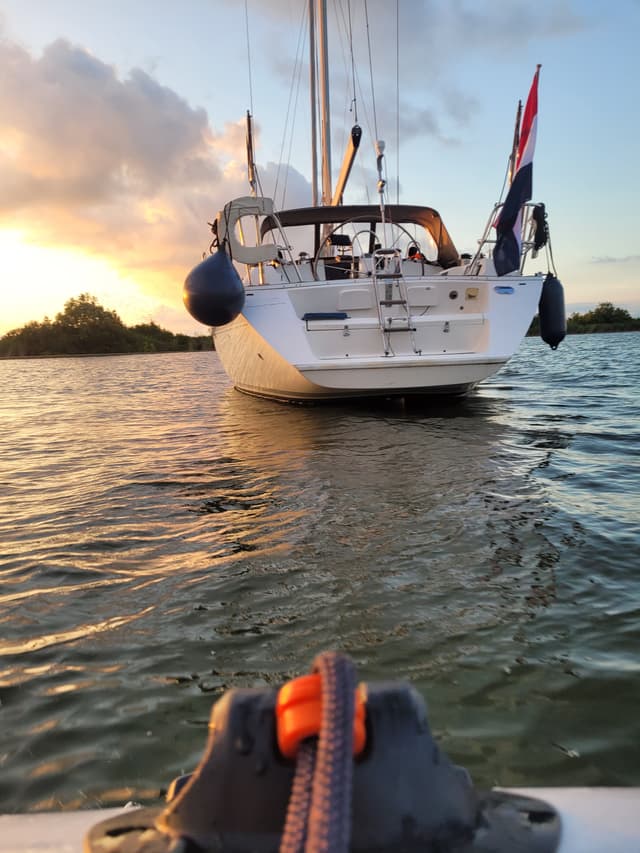 Picture of Ori with sundown