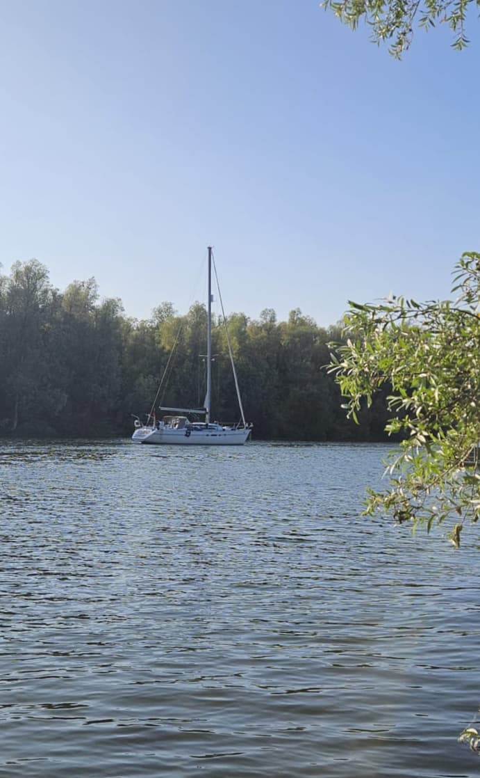 picture of Ori the sailboat